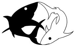 logo shark questionnaire